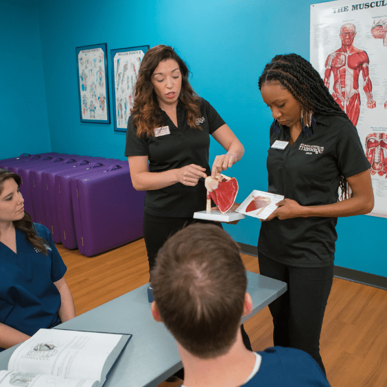 Massage-School-Clinic-Hours-Curriculum-Atlanta-School-Massage